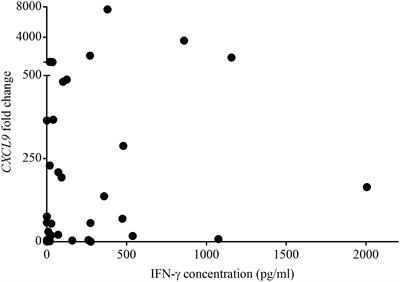 Comparison of interferon gamma release assay and CXCL9 gene expression assay for the detection of Mycobacterium bovis infection in African lions (Panthera leo)